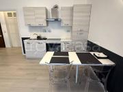 Appartamento in affitto a Roma via Angelo Emo, arredato,...