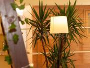 Appartamento in affitto a Roma via Durazzo, 24M,...