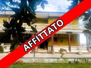 Appartamento in affitto a Roma via Flaminia, 1980,...