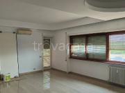 Appartamento in affitto a Roma via Luigi Arbib Pascucci,...