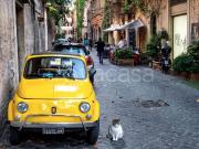 Appartamento in affitto a Roma via Margutta, balcone,...