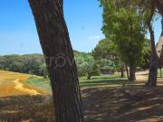 Appartamento in affitto a Roma via Portuense, 956, non...