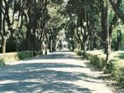 Appartamento in affitto a Roma viale del Museo Borghese,...