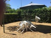 Appartamento in affitto a Rosignano Marittimo 42 mq Rif:...