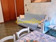 Appartamento in affitto a Rosignano Marittimo, arredato,...