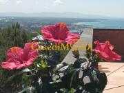 Appartamento in affitto a Rosignano Marittimo, arredato,...