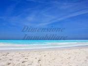 Appartamento in affitto a Rosignano Marittimo LI