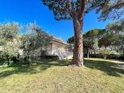 Appartamento in affitto a Rosignano Marittimo LI