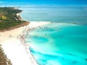 Appartamento in affitto a Rosignano Marittimo via Imma...