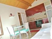 Appartamento in affitto a Rovigo RO