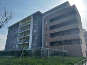 Appartamento in affitto a Rozzano MI