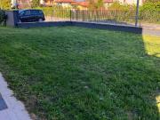 Appartamento in affitto a San Bonifacio VR