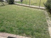 Appartamento in affitto a San Bonifacio VR