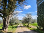 Appartamento in affitto a San Casciano in Val di Pesa...