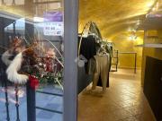 Appartamento in affitto a Sanremo via Pietro Calvi, 5,...