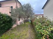 Appartamento in affitto a Sarzana SP