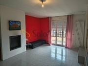 Appartamento in affitto a Sassuolo