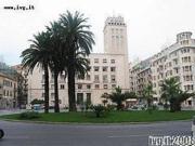 Appartamento in affitto a Savona SV