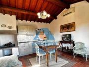 Appartamento in affitto a Scandicci FI