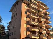 Appartamento in affitto a Segrate MI