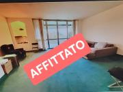 Appartamento in affitto a Segrate residenza Spiga, box,...