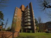 Appartamento in affitto a Segrate via Olgia, 8/2, box,...