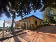 Appartamento in affitto a Sesto Fiorentino FI