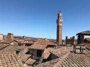 Appartamento in affitto a Siena