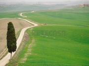 Appartamento in affitto a Siena, arredato, giardino,...