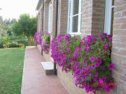 Appartamento in affitto a Siena SI