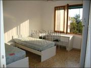 Appartamento in affitto a Siena SI