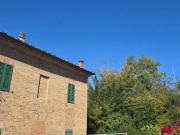 Appartamento in affitto a Siena SI
