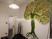 Appartamento in affitto a Siena SI Appartamento in affitto a Siena SI