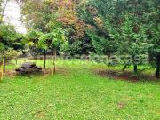 Appartamento in affitto a Siena strada esterna...