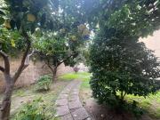 Appartamento in affitto a Terracina LT Appartamento in affitto a Terracina LT