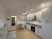 Appartamento in affitto a Torino Appartamento in affitto a Torino