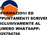 Appartamento in affitto a Torino