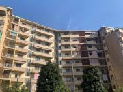 Appartamento in affitto a Torino TO