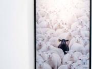 Appartamento in affitto a Torino TO