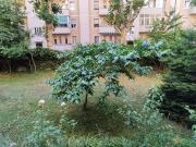 Appartamento in affitto a Torino TO