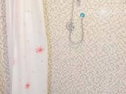 Appartamento in affitto a Torino TO