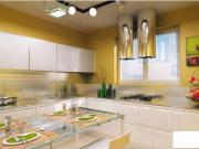 Appartamento in affitto a Torino TO