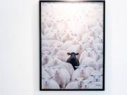 Appartamento in affitto a Torino TO