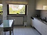 Appartamento in affitto a Torino TO Appartamento in affitto a Torino TO