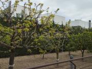 Appartamento in affitto a Trani via Martiri di Palermo,...