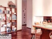 Appartamento in affitto a Trento TN