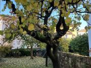 Appartamento in affitto a Trento via dei Mille, San...