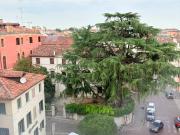 Appartamento in affitto a Treviso, Centro storico