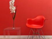 Appartamento in affitto a Treviso TV