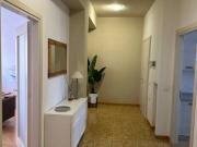 Appartamento in affitto a Treviso TV